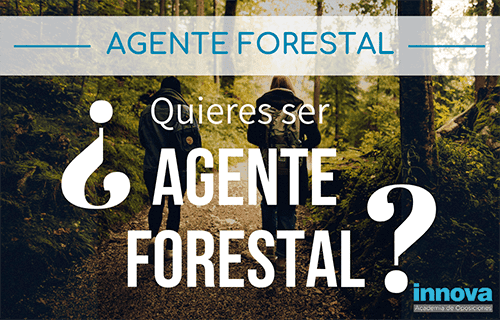 El apasionante trabajo del Agente Forestal