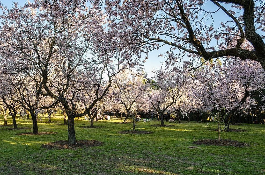 Los parques más tranquilos para estudiar