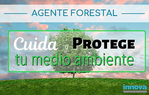 La importancia de los Agentes Forestales