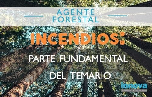 Diferentes definiciones de Incendio Forestal