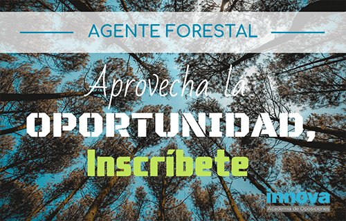 Mañana finaliza el plazo para inscribirte en las oposiciones de Agente Forestal de la CAM