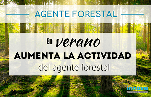 Cómo trabaja un agente forestal en verano