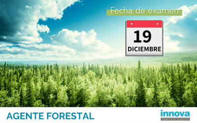 Publicadas la fecha de examen y las listas definitivas para conseguir una de las 50 plazas de Agente Forestal