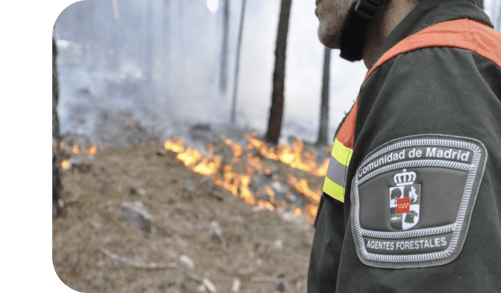 Oposiciones-de-Agente-Forestal