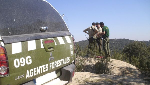 oferta-empleo-público-CAM-2023-agente-forestal