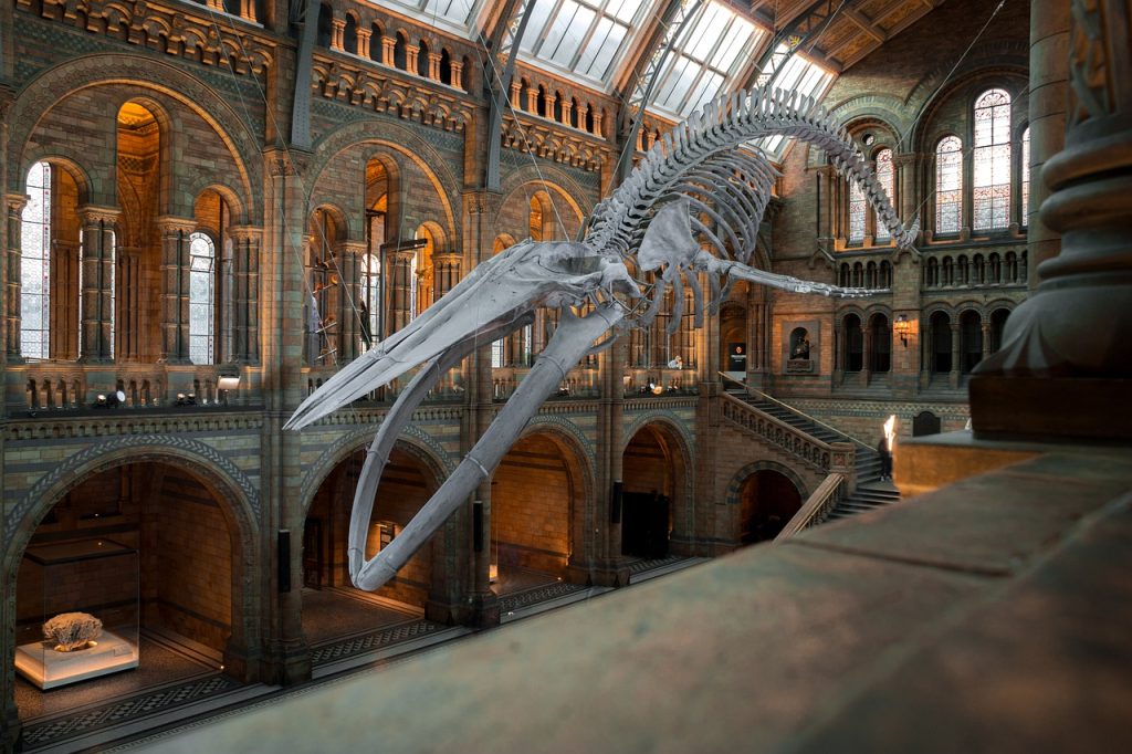 Supuestos prácticos Ayudante de Museos