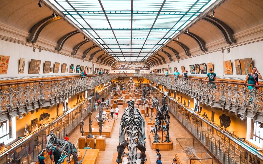 Temario de la oposición para Ayudante de Museos (Grupo A2)