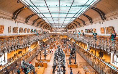 Temario de la oposición para Ayudante de Museos (Grupo A2)